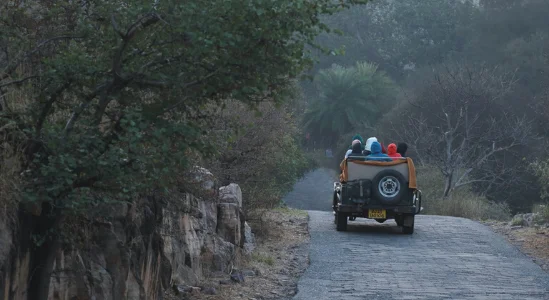 Golden Triangle with Ranthambore Tigers