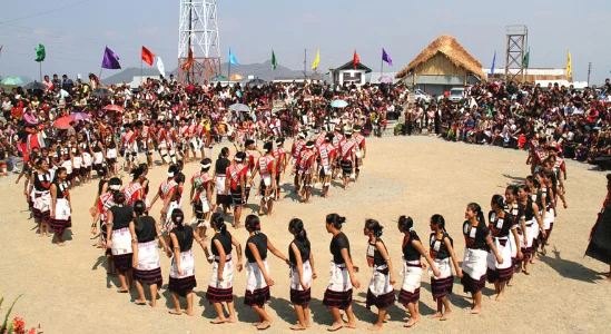 One Horn Rhino with Hornbill Festival